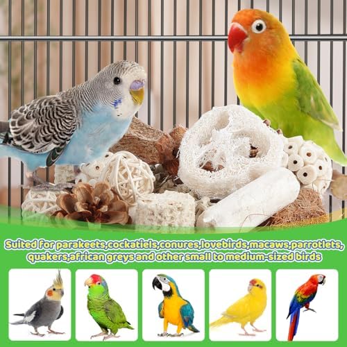 Kyouki Bird Toys 앵무새 장난감 잉꼬, 앵무새, Conures, Love Bird 및 기타 소형에서 중형 새를 위한 천연 새 채집 상자 발 (미디엄) — 사진 3
