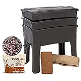  WormBox I Vermicompostador Worm Café, 2 bandejas I Kit Completo I Gran Capacidad de 64 litros (500g de Lombriz / 2000 und.)