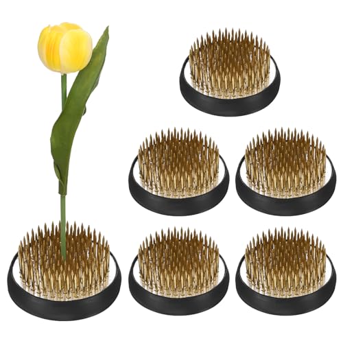 M METERXITY 6-Pack Flower Frog 1.97\" Round Copper Floral Ar