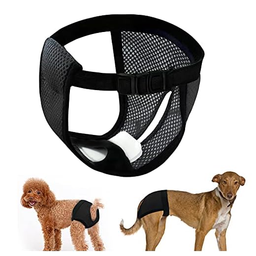 LeerKing slipje teef hondenbroek 2-pack met maandverband voor menstruatiebloedingen Wasbaar beschermend slipje Hondenluier beschermend broekje 5 maten voor teven en katten Zwart S