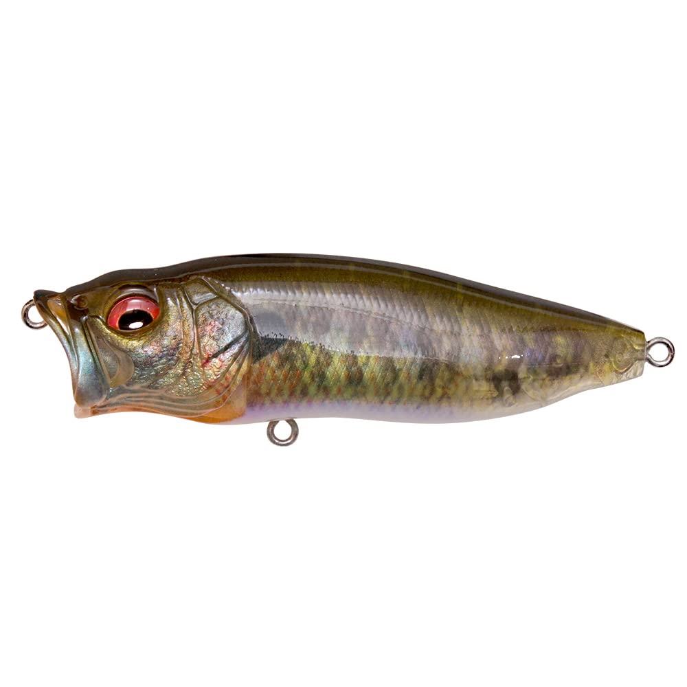 Amazon.co.jp: megabass popmax fa gill : Sports & Outdoors