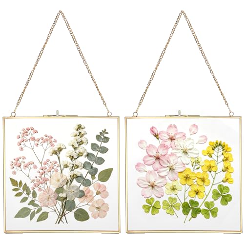 Fleurs pressées mises en valeur dans ce cadre en laiton suspendu - 2