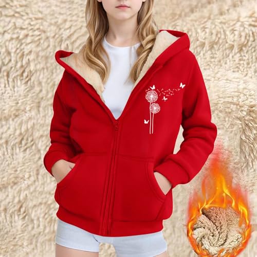 Girls Sherpa Lined Hoodie Sweatshirt Fleece Long Sleeve Zip Up Hoodie With Pockets Dandelions Print Fashion Sweatshirt2