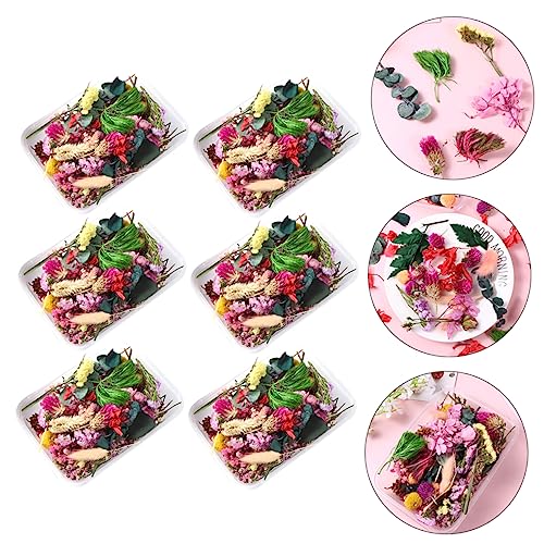 Materiales de Flores Secas para Manualidades DIY miniatura 6