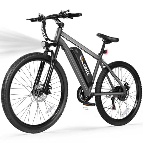 M200 21-Speed Mountain E-Bike