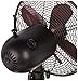 DecoBREEZE Oscillating Table Fan, 3 Speed Portable Fan, Kipling, Antique Metal Fan, 10 inches