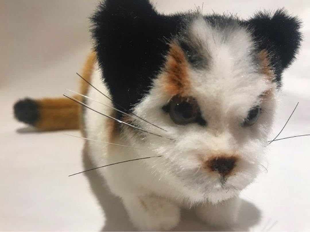 Amazon.co.jp: ケーセン kosen ネコ ねこ 猫 三毛猫 にゃんこ