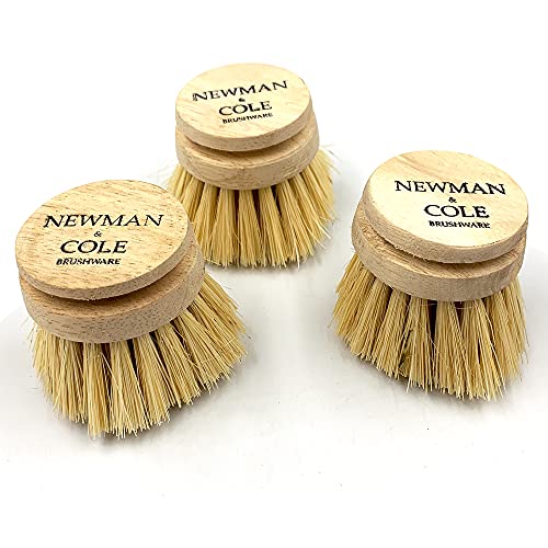 Newman and Cole Wooden Dish Brush Heads, Pack of 3 Natural Dish Brush Eco Washing up Brush Head Replacement for Cleaning the Dishes, Kitchen Sink, Pots and Cooking Pans