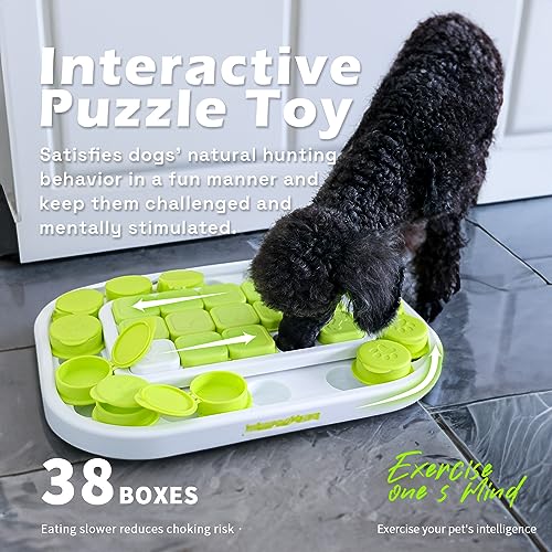Jouet puzzle Sokudo pour chien ALL FOR PAWS interactif - 4