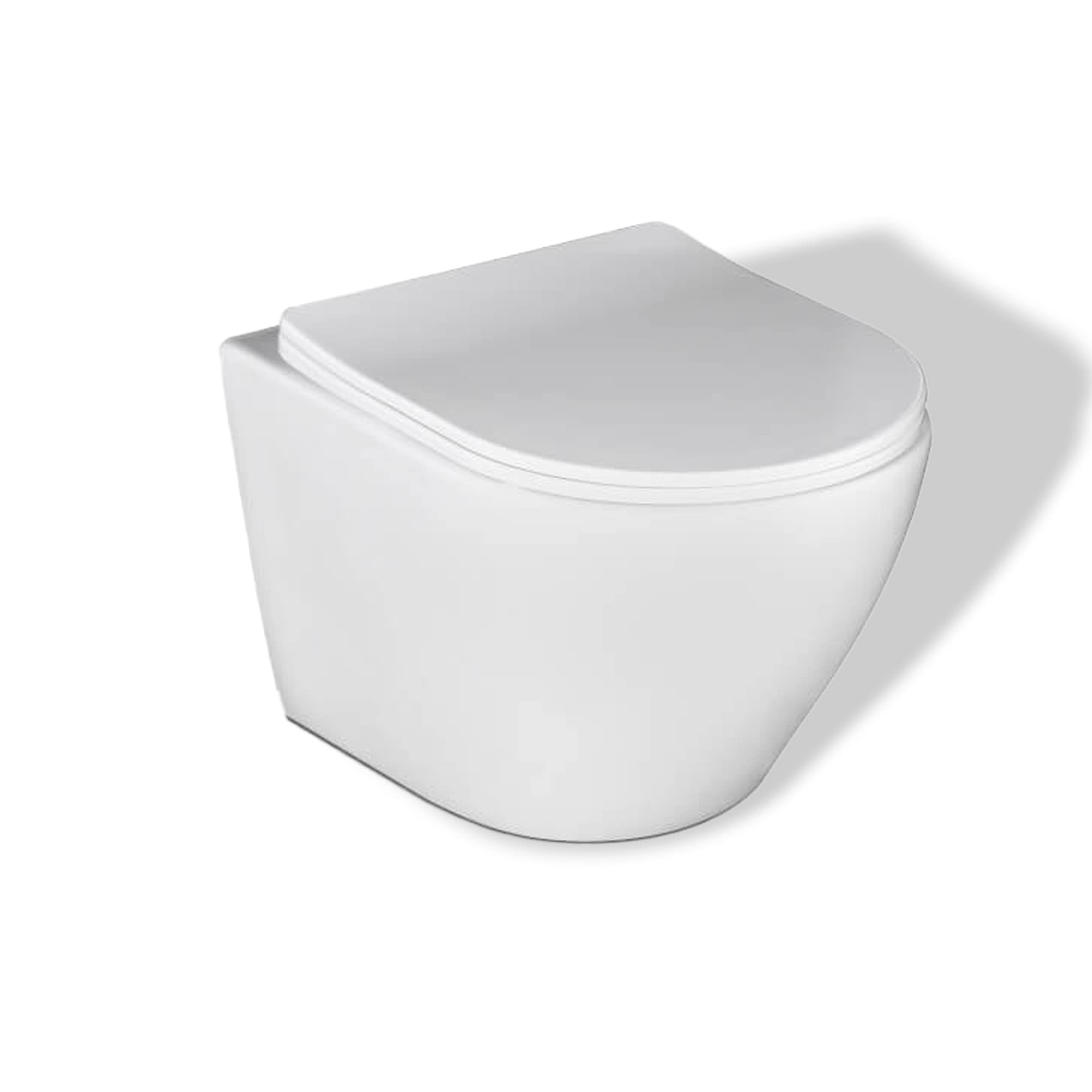 BADLAND Kit WC Geberit Duofix Basic UP 100 avec panneau de protection et WC mural Desna Blanc + plaque d'actionnement Delta01 Blanc + abattant WC Slim Soft Close + tapis d'insonorisation