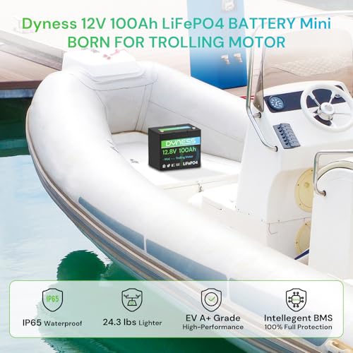 Image of Dyness 12V 100Ah Mini LiFePO4 Battery Group 24, 12.8V Lithium Battery with 100A BMS, Low-Temp Protection & 10 Years Lifespan for Trolling Motor, Marine, Boat, RVs, Solar Off-Grid, Golf Cart