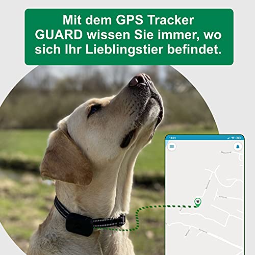 GPS Tracker für Hunde und Katzen – Fnd.U Guard GPS Tracker
