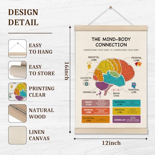 Image of Mental Health Poster Hanger Frame, Brain Anatomy Posters, Therapy Office Decor, School Counselor Office Decor, Mind Body Connection Artwork for School 16x12 Inch, Stress Management Canvas Wall Art