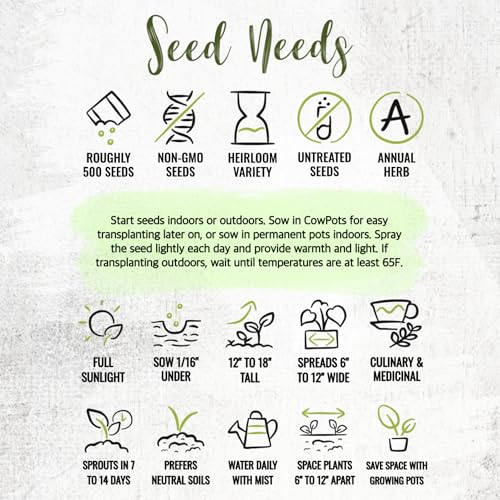 Seed Needs Summer Savory Seeds for Planting Herbs - Non-GMO Heirloom & Untreated Annual Herb Seed to Plant a Culinary Kitchen Garden Indoors or Outdoors (1 Pack) - Image 8