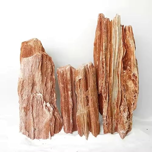 Image of Natural Redwood Petrified Stone for Aquarium Decoration | Aquascaping Rock for Fish Tanks, Terrariums, and Bonsai | pH Neutral, Dense Hardscape Stone with Wood-Like Grain Patterns (5 Kg)