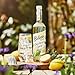 BELVOIR FRUIT FARMS Elderflower Syrup Mixer, 500ml (Pack of 1) | Refreshing Botanical Drink Mix | Perfect for Cocktails | Natural Flavor| No Preservatives| Made with Fresh Elderflowers.