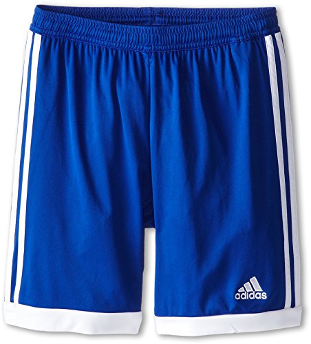 adidas Performance Youth Tastigo 15 Shorts, Royal Blue, X-Large