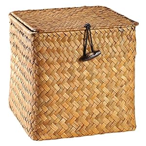 Hemoton Geweven Rieten Magazijnbakken Met Deksel Zeegras Mand Opbergdoos Voor Plank Organizer (Oranje Groot Formaat)