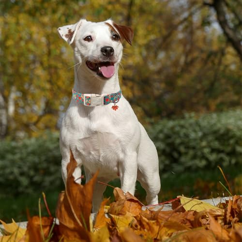 Image of Fall Dog Collar for Small Medium Large Dogs-Adjustable Autumn Leaf Print Dog Collar with Maple Charm, Cute Seasonal Pet Collars with Quick Release, Soft Durable Puppy Collars