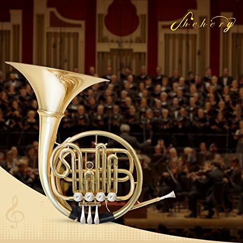 The 27 Best Single French Horns of 2024 [Verified] Cherry Picks