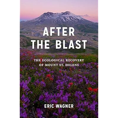 After the Blast