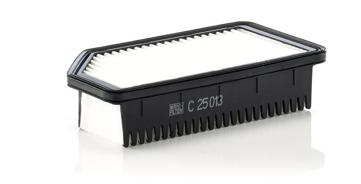 MANN-FILTER C 25 013 Air Filter - for Cars + Transporters
