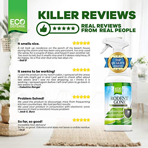 Eco Defense Mice Repellent - Natural Peppermint Oil Formula to Repel Mice, Rats, and Other Rodents - Humane Mouse Trap Alternative (16 oz)