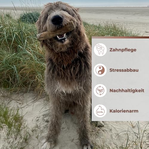 Zoys Kaffeeholz für Hunde Größe XL – Natürlicher Kauknochen – Unterstützt Zahnreinigung & beugt Zahnstein vor – Splitterfrei & koffeinfrei – Langlebiges Hundespielzeug für große Hunde