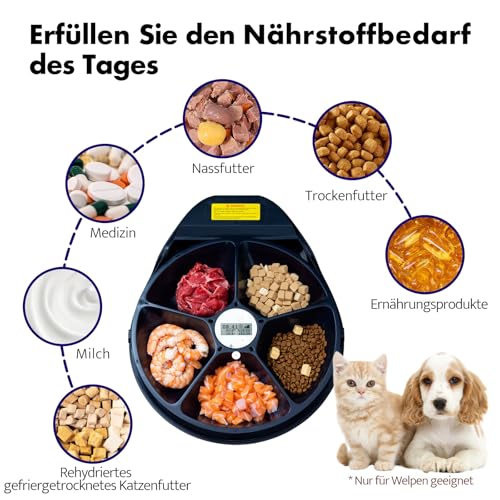 UBPET F10 Futterautomat Katze Nassfutter mit Kühlung, Halbleiter Kühlung, Timing-Funktion Futterautomat Katze, Quick Chills Soße Nassfutter Trockenfutter Katzen Futterautomaten, 5 Mahlzeit Katze Hund