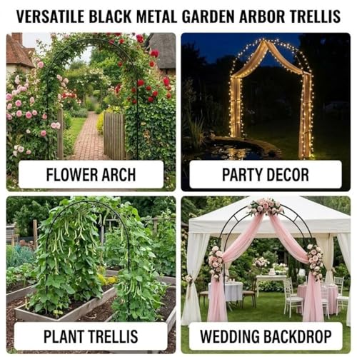 Arche de jardin en métal noir au design épuré pour une décoration extérieure