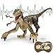 Fernbedienung Dinosaurier Spielzeug,Elektronisch Gehender Velociraptor mit LED-Beleuchtung&Realistische Simulation Geräusche,2,4 GHz Velociraptor Spielzeug,Beste RC Dinosaurier Geschenke für Kinder