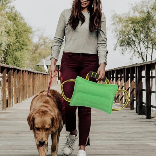 Almohada de mordida para perros Homoyoyo verde con asas 8