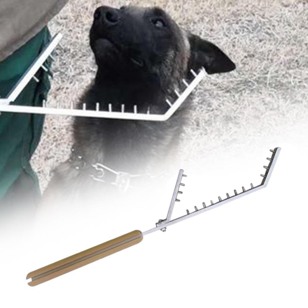 Baoblaze Palo de Entrenamiento para Perros portátil, Resistente, Ligero, Herramienta de Entrenamiento para Perros, Equipo de Entrenamiento para Perros