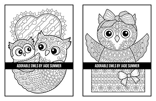 Adorable Owls: An Adult Coloring Book With Cute Owl Portraits, Fun Owl Designs, And Relaxing Mandala Patterns #TOP6