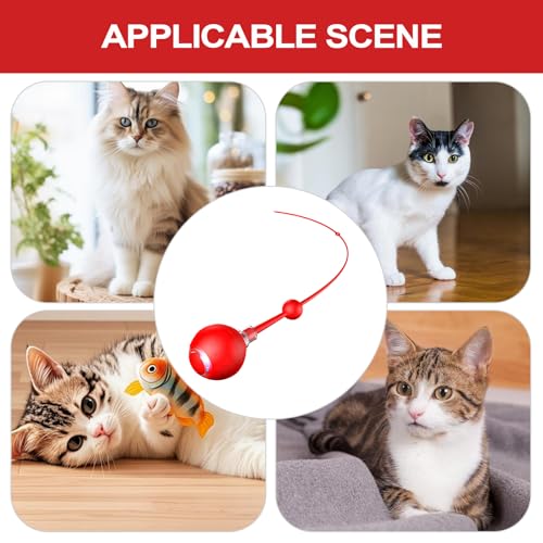 Balle mobile pour chat : la solution contre l'ennui et le manque d'exercice des félins - 5