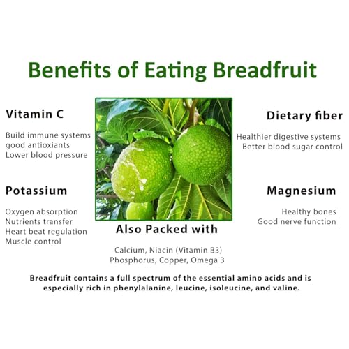 FIJI - Breadfruit (Pack of 3 x 425g Tin) This Versatile and Nutritious Superfood, Product of Fiji Islands