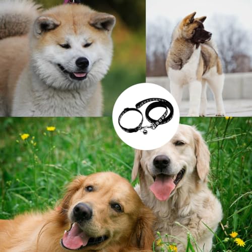 Verstellbares Welpenhalsband und Leine, weiches Halsband mit Pfotenabdruck für kleine und mittelgroße Hunde und Katzen