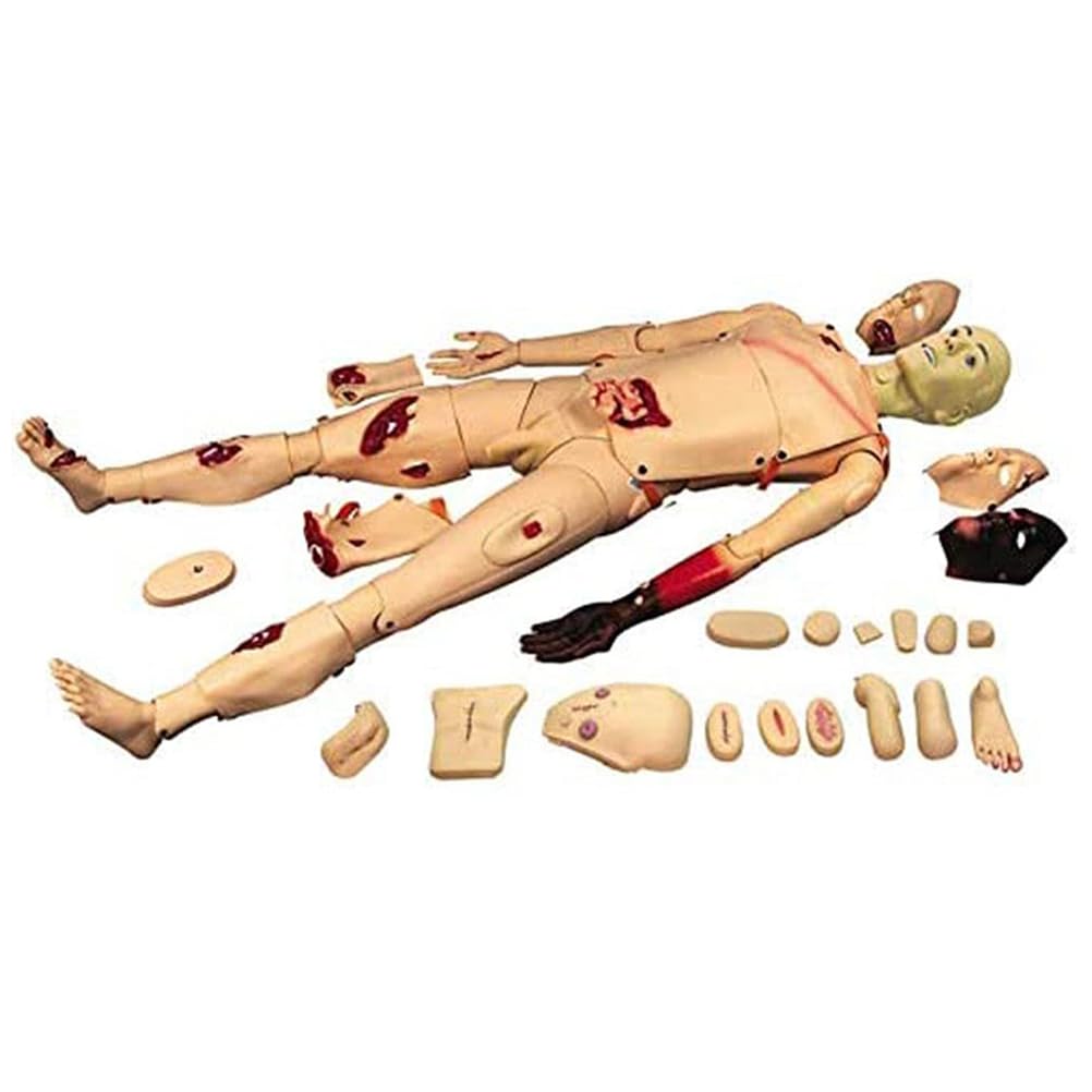 Mannequin De Simulation Avancé pour La Formation Aux Premiers Secours, Mannequin Pédagogique Complet pour Les Soins des Plaies, Outil D'enseignement Médical et Éducatif