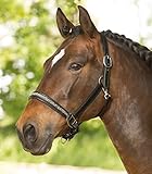 Top Preis Leistung SALE Lederhalfter X-Line Dressy, schwarz, WB, schwarz, Warmblut