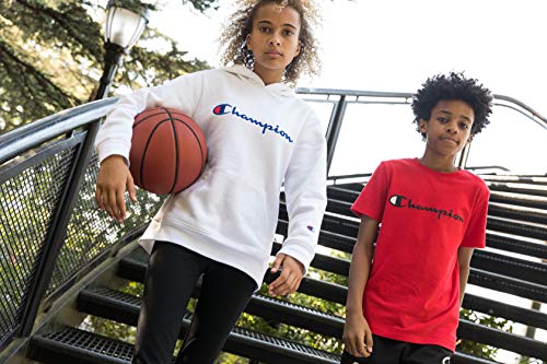 Champion Boys Fleece Hooded Zip Up Sweatshirt Hoody Kids Clothes (Large, Bozetto Blue) #TOP4