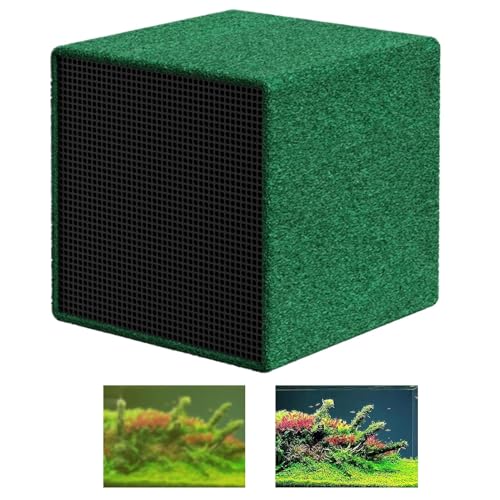 Cube de nettoyage charbon actif contre l'eau trouble des aquariums