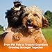 PUAINTA Ear Cleaner for Dog & Cats, Dog Ear Drop and Infection Treatment, Dog Ear Cleaning Solution- Cleaning,Soothing and Deodorizing Itchy Ears 4oz