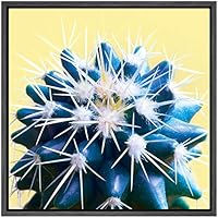 SIGNWIN Framed Canvas Wall Art Echinocereus Triglochidiatus Hedgehog Cactus in Yellow Botanical Succulent Photography Realism Modern Closeup Fun for Living Room, Bedroom, Office - 16x16 inches