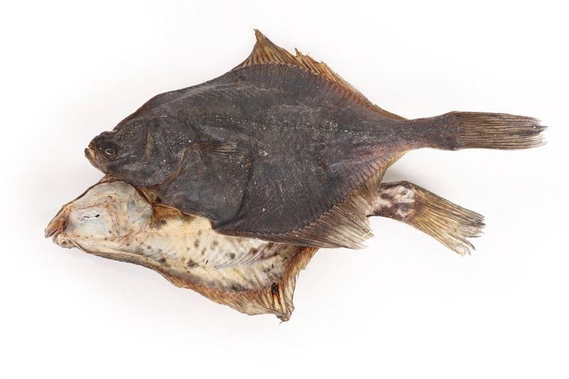 Grobys Futterkiste Fisch für Hunde getrocknete Flunder ganz als Hundekauartikel, Verpackungseinheit:5 Kilogramm
