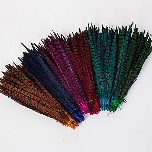 Feather Hair Extensions, 100% Real Rooster Feathers, 10-12 Inches Long Natural and Multi-Colors, 20 Feathers with Bonus FREE Beads and Loop Tool Kit NBT (10 Colors)