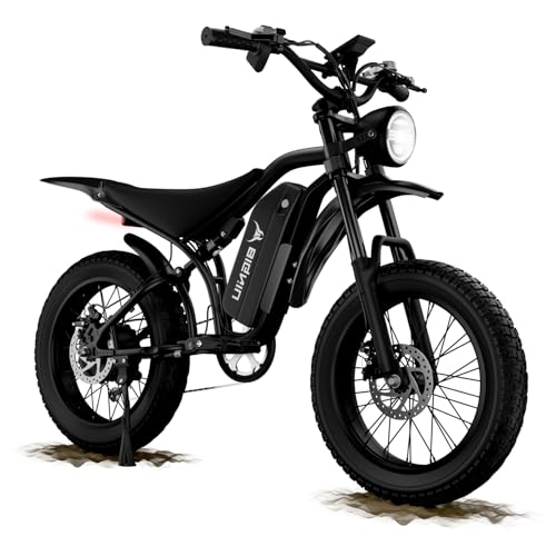 BIGNIU Electric Bike for Adults – 20' Fat Tire, Peak 1200W Motor, 48V 15A Battery, 7-Speed, Dual Disc Brakes for Off-Road and City Riding BG-S (Dark Black)