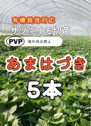 あまはづき」の人気商品一覧・価格比較 - 価格.com