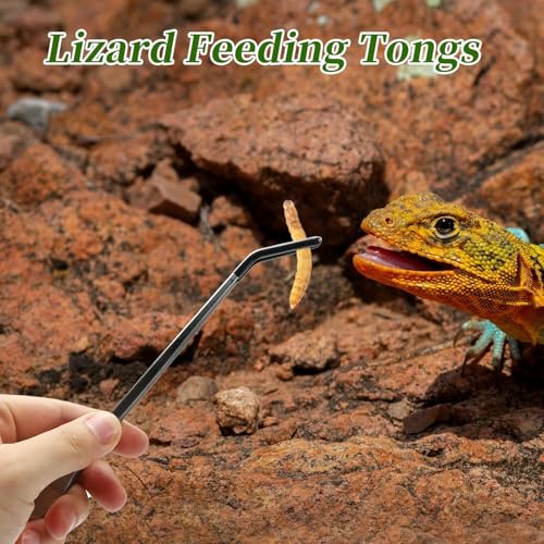 MVOLEGDE 2 Stück Pinzette Lang, Edelstahl Mit Gummispitze Aquarium Pinzette Lang, 27CM Erade/Gebogen Futterpinzette, Silbrig Pinzettes Aquarium, für Eidechsen Wasserpflanze Pflanzenpinzette