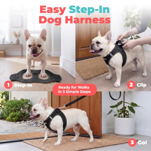 Voyager Step-in Air Dog Vest Harness - Black, Small | 14.5-16" in Chest, Reflective Bands, All Weather Breathable Air Mesh, Cats Compatible, Lightweight, Fast Drying - Image 4