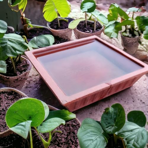 Image of Earthen Pot Terracotta Bird Bath,Square Shape Earth Brown